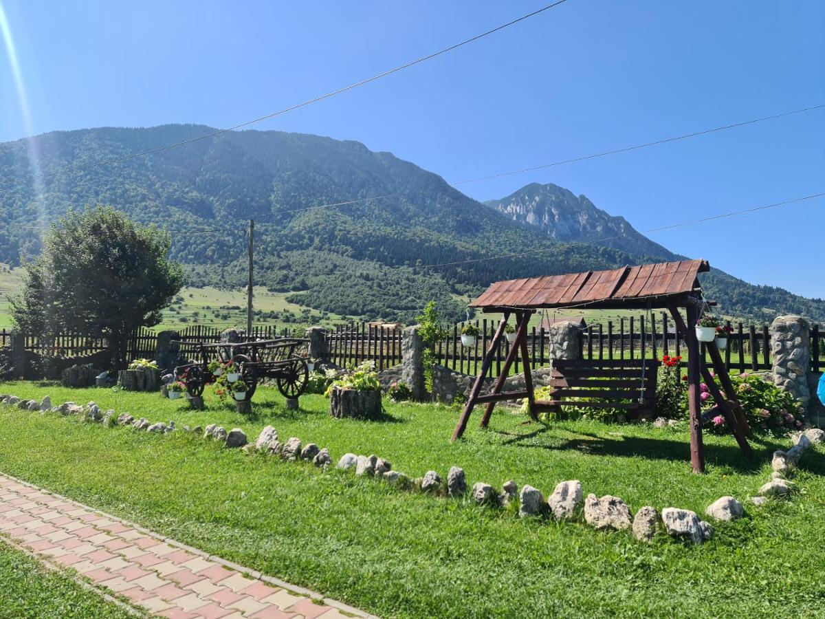 Maricom Home Zărneşti Kültér fotó